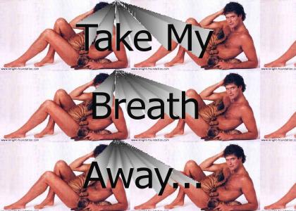 Take My Breath Away, David Hasselhoff