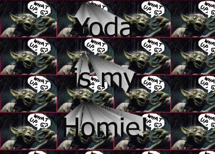 Yoda is my homie!