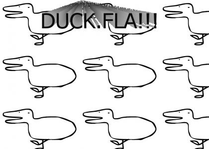 Duck.fla