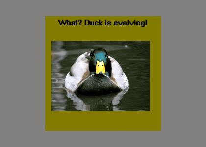 What? Duck is evolving!