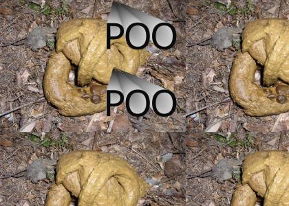 POO