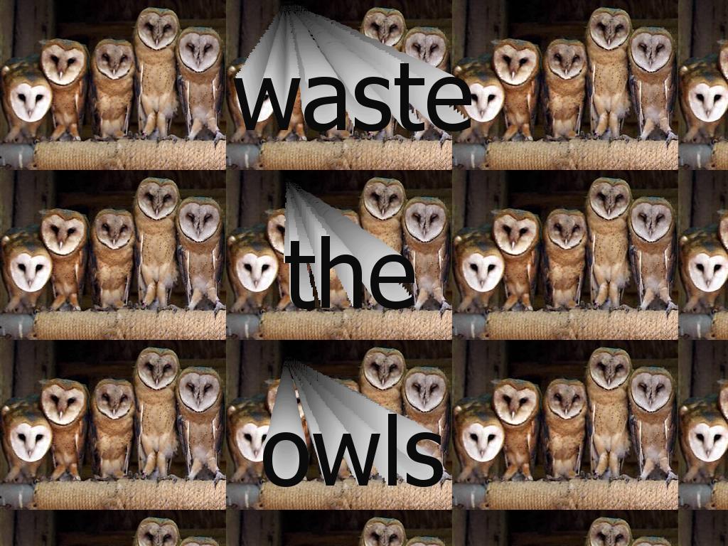 wastetheowls