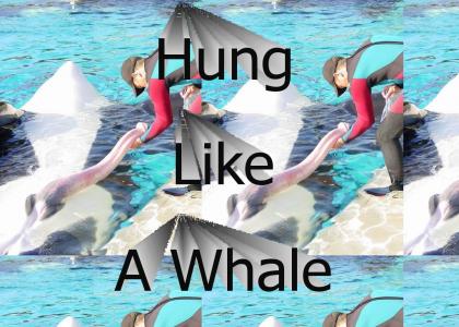 Hung like a whale