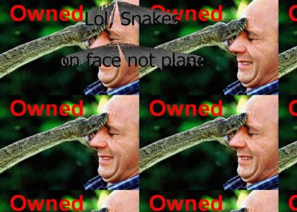 Snakes On Face, Not on plane