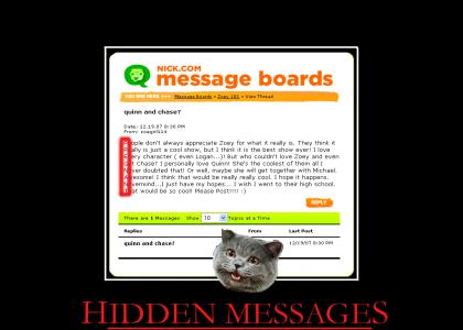 Jamie Lynn message board prank