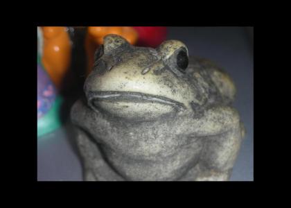 Glass Frog Stares Into Your Soul