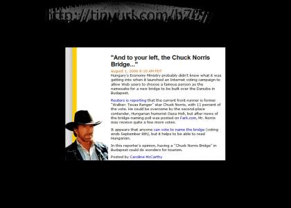Vote for Chuck Norris (bridge naming)