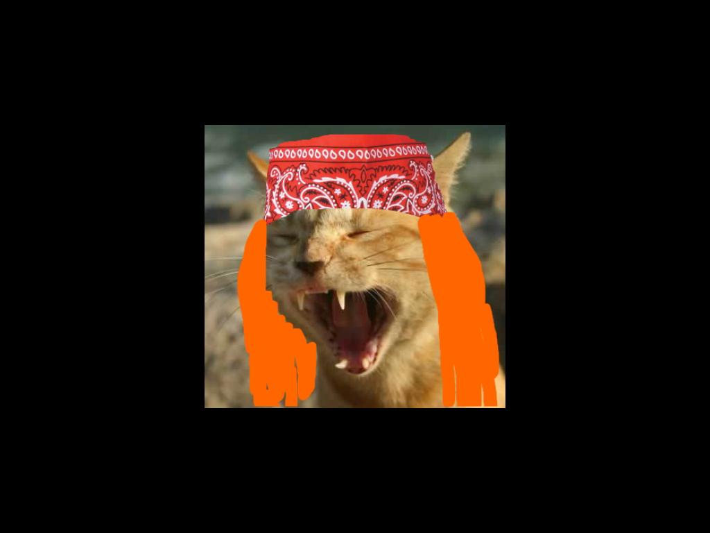 axlrosecat