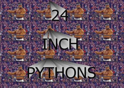24 INCH PYTHONS