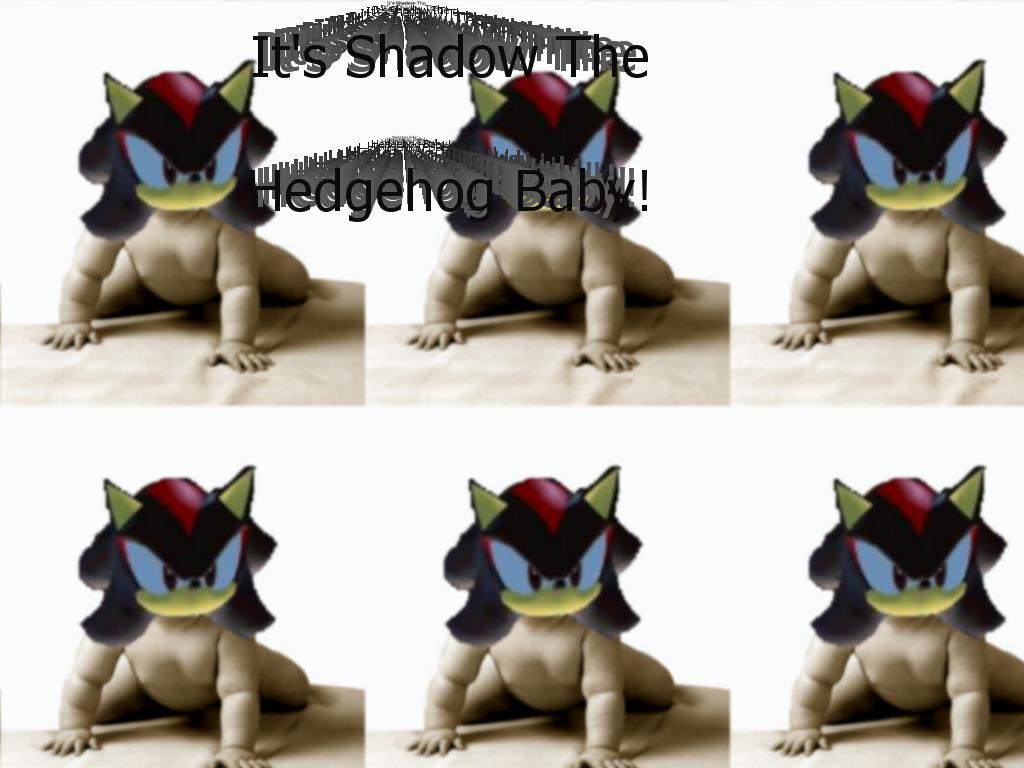 shadowthehedgehogbaby