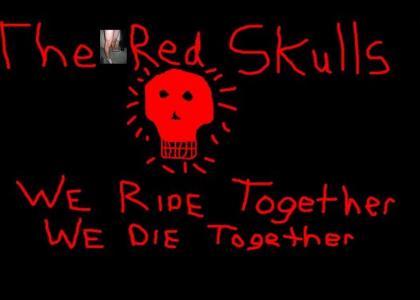 Skulls Raise Hell