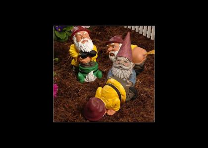 Lawn Gnomes 2