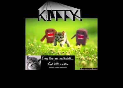 Kitty Killers