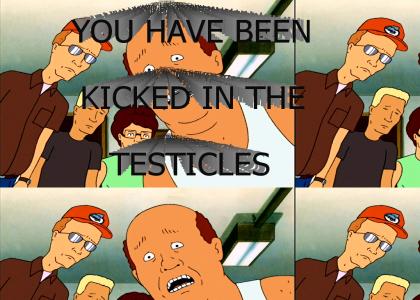 YOU HAVE BEEN KICKED IN THE TESTICLES!