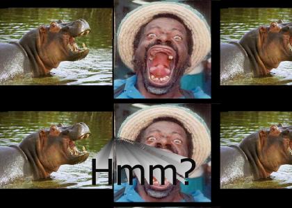 Hippo-Nigga