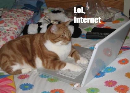 The internet isn't serious business for this cat