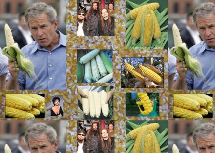 Corns and corncorn