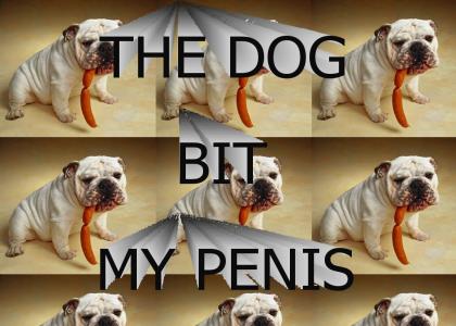 THE DOG BIT MY PENIS