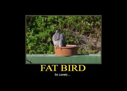 Fat Bird