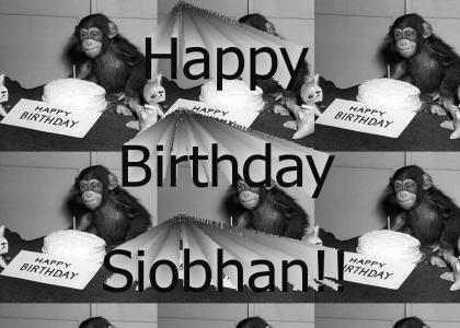 Happy Birthday Siobhan