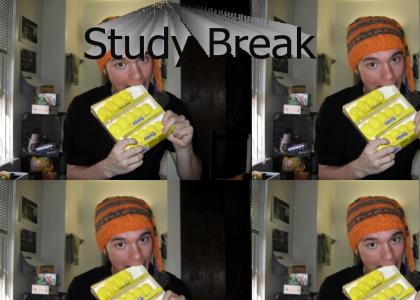 Lynne's Study Break