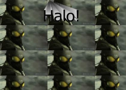 Big Boss Halo