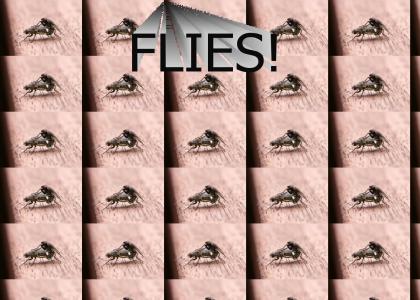 Flies!