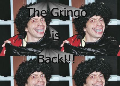 The Gringo Is Back