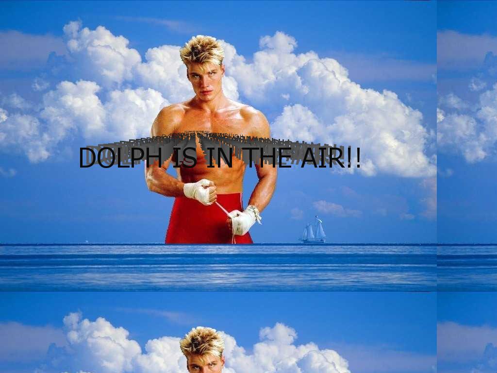 dolphisintheair