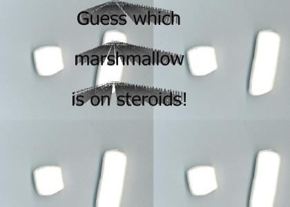 Marshmallow's on steriods!!!!1