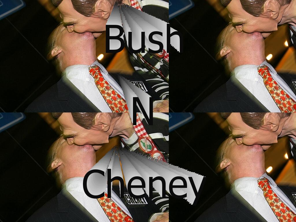 bushgay2