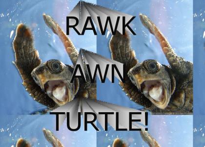 Rawk Awn Turtle!