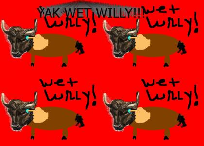 YAK WET WILLY!!