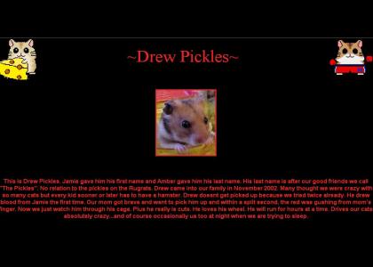 DREW PICKLES IS A HAMSTER