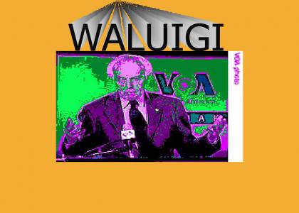 Waluigi's New License