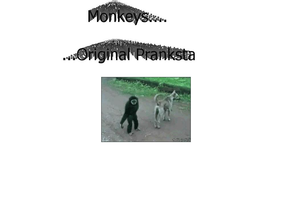 monkeydo