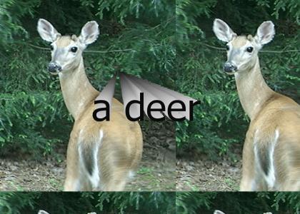 a deer...
