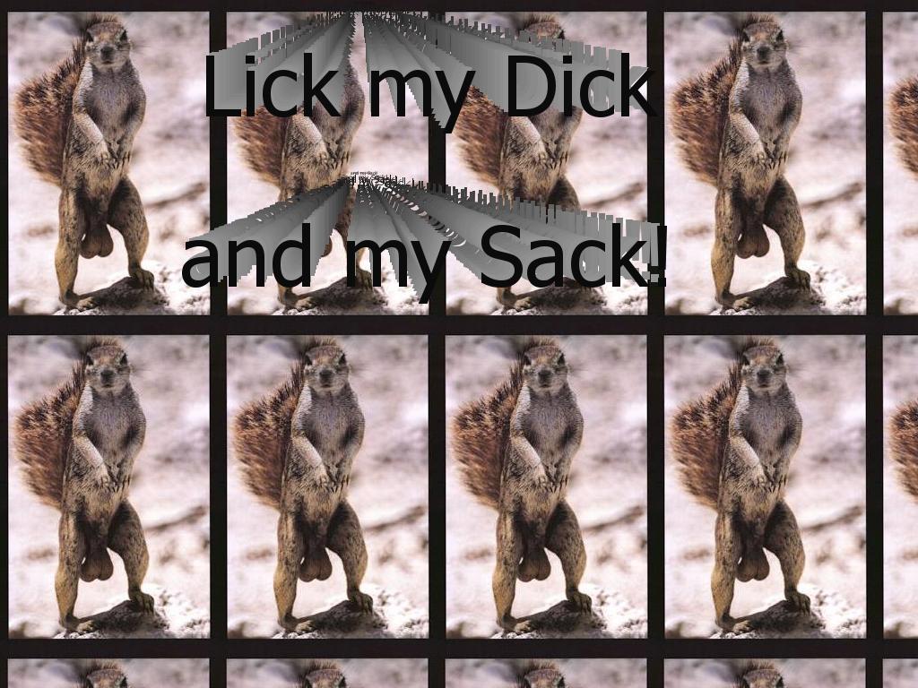 mydickmysack