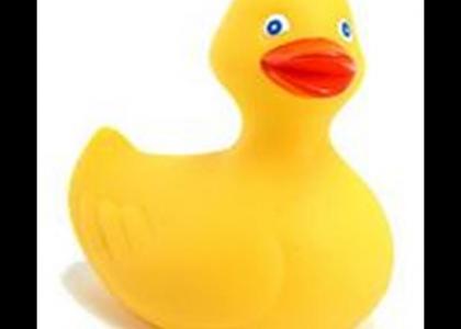 Rubber ducky stares into your soul.