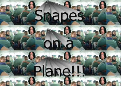 We Got Snapes!!!
