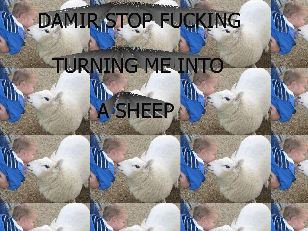 stopsheeping