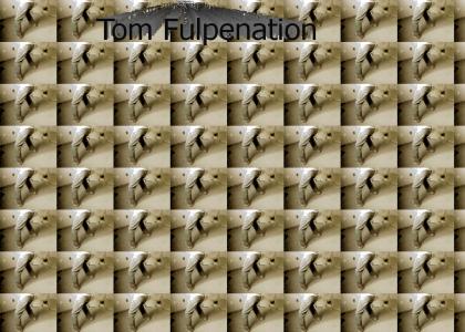 Tom Fulp: Renovation Machine