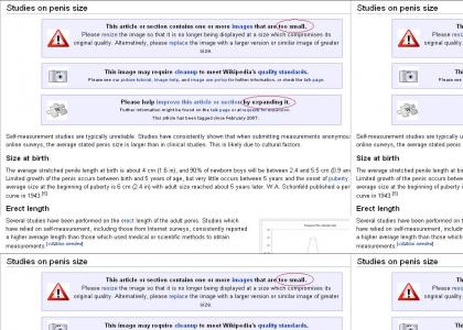 Wiki Article: Penis Size