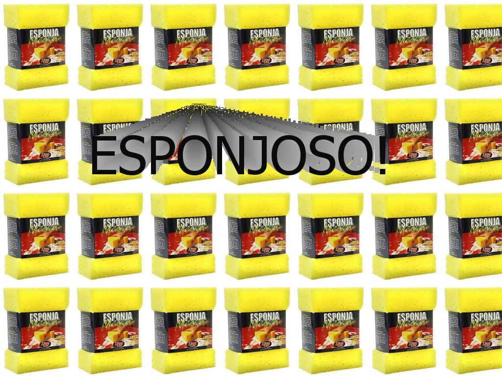 esponja