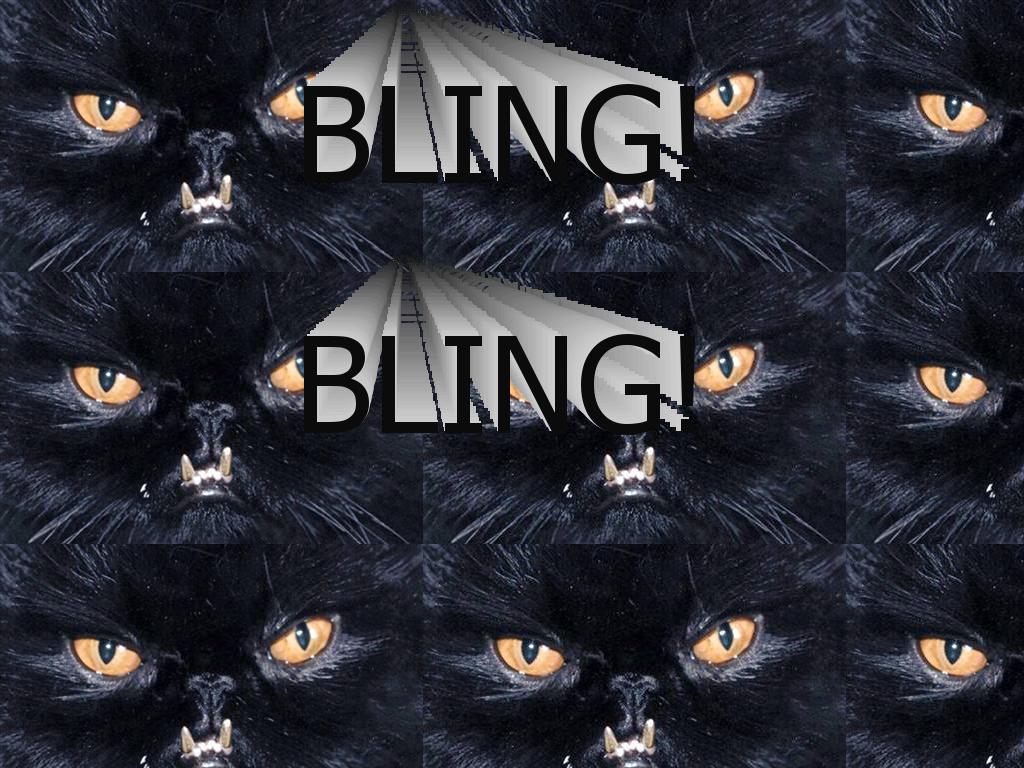blingblingcat