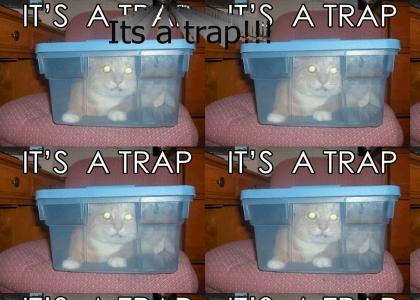 Its a trap!