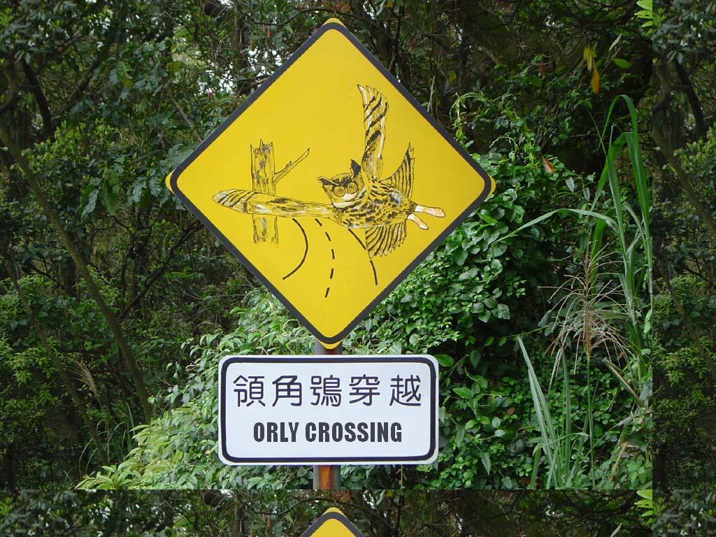 orlysafetysign