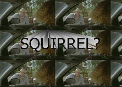 Squirrel?