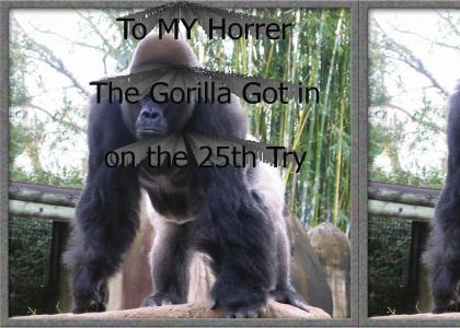 Gorilla Splooge