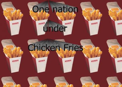 Chicken Fries!!